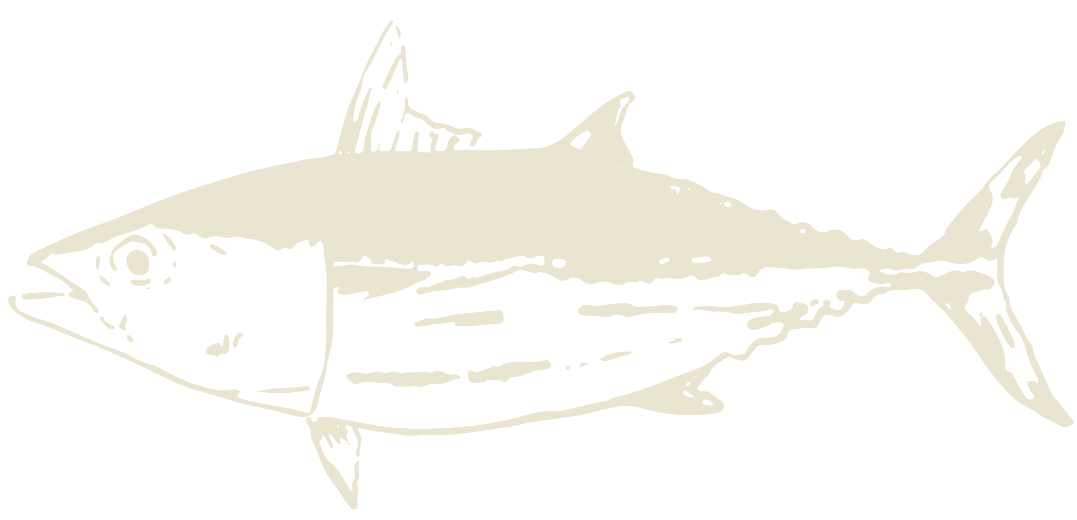 Decoración Barrilete