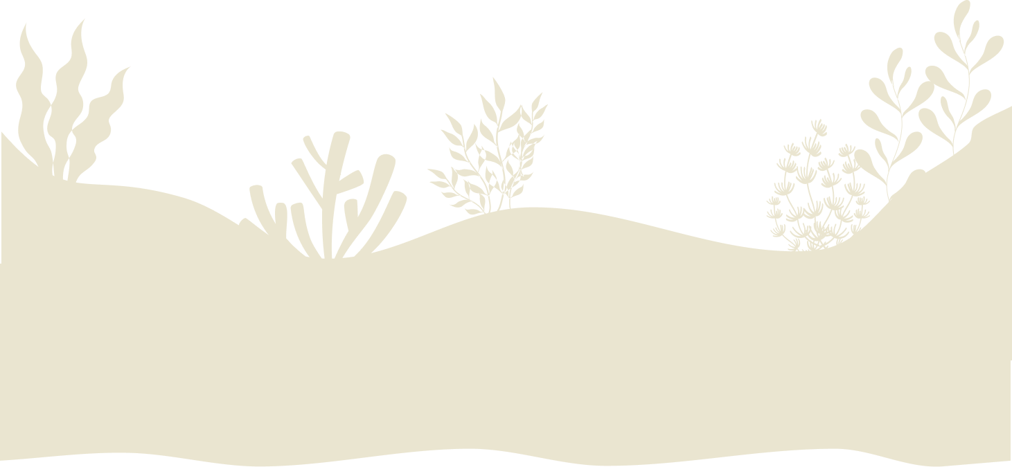 Fondo decorativo productos