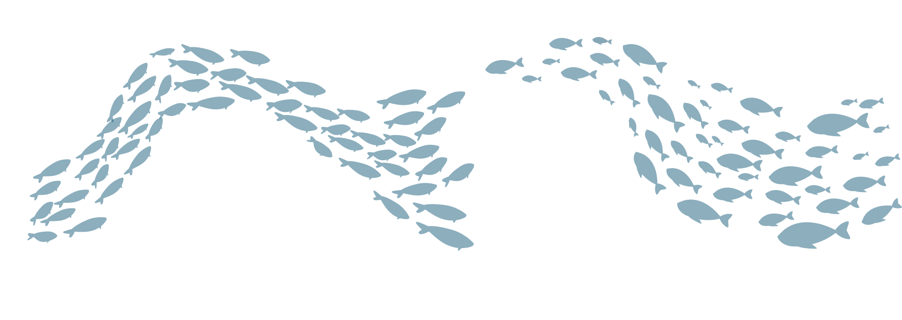 Decoración superior