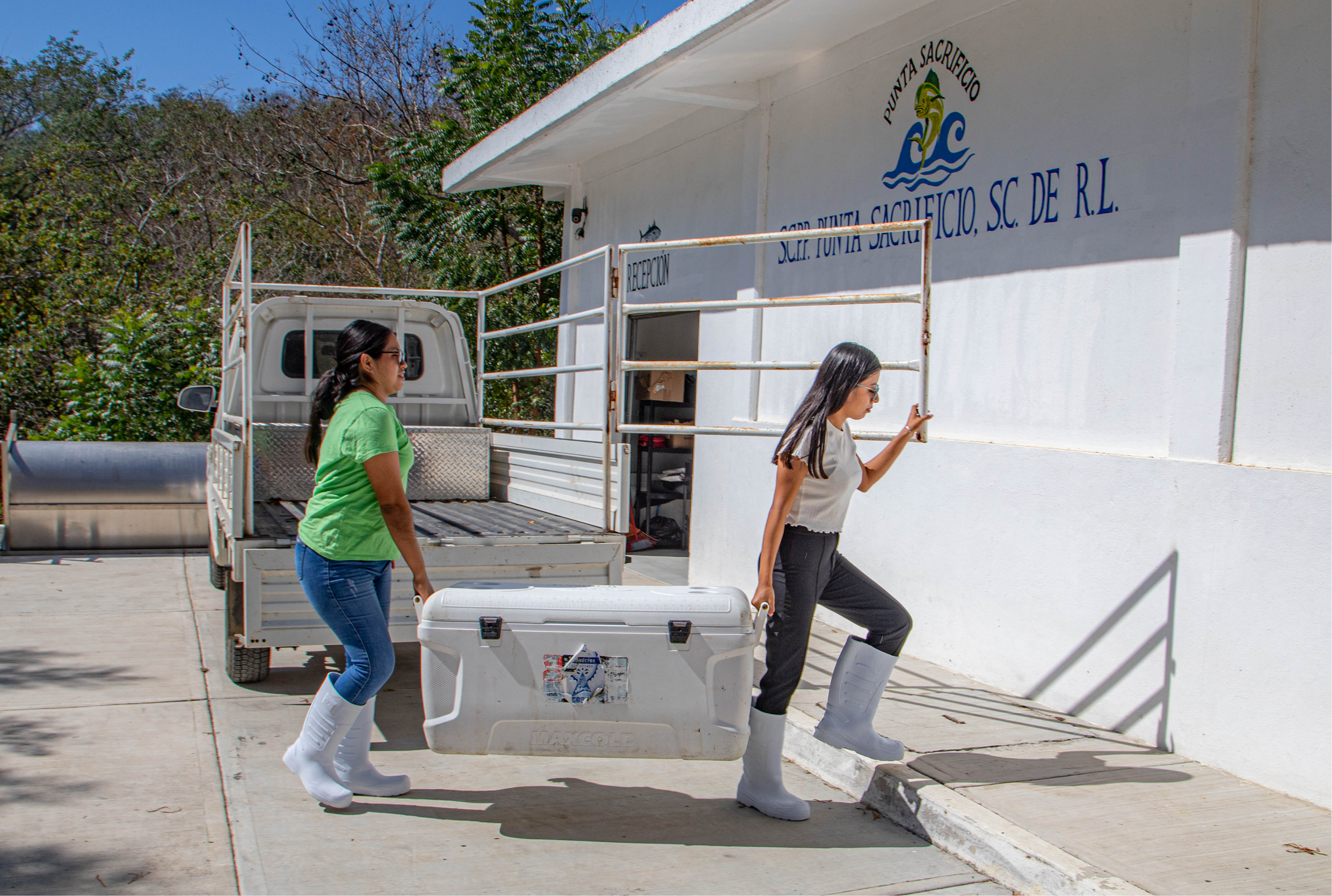 Planta de procesamiento